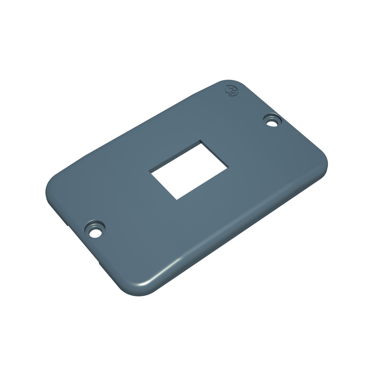 Placa Espelho Para Condulete 1 Módulo RJ11 RJ45 Tigre Cinza