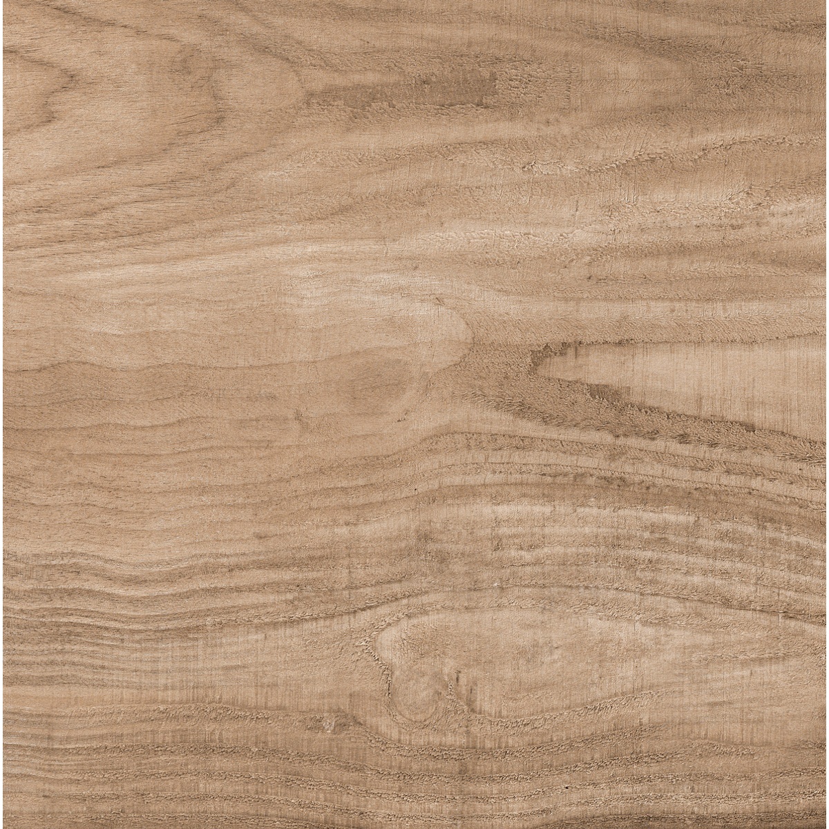 Piso Lume 75x75 A Bosco Marfim